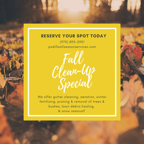 $25 OFF Fall Cleaning