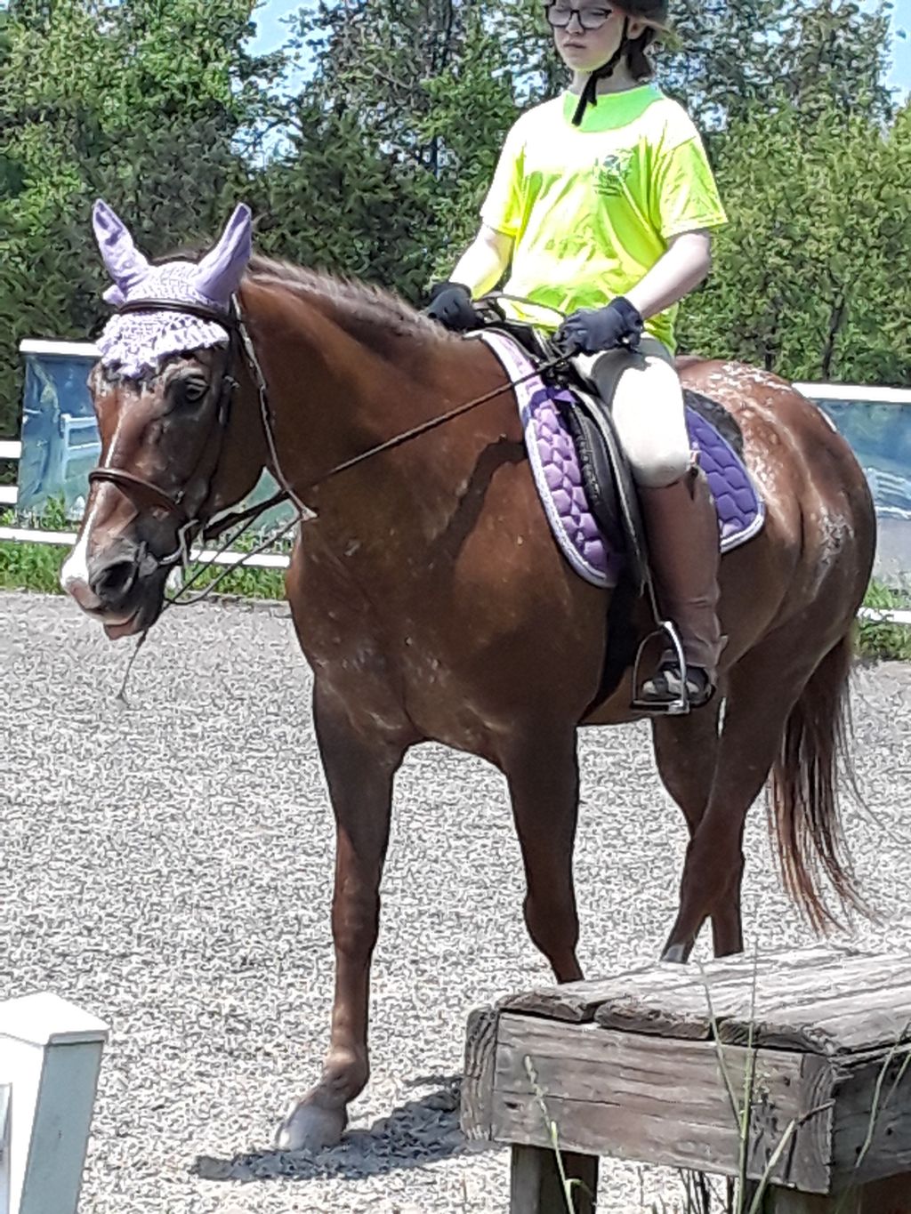 Our beautiful Appaloosa mare teaching a young ride
