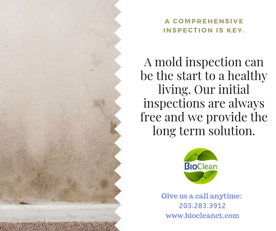 Mold Inspections