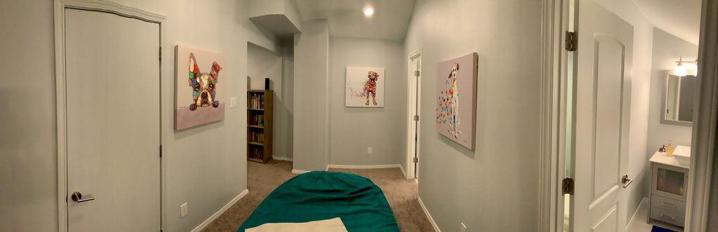 Attic Conversion Kid's Room