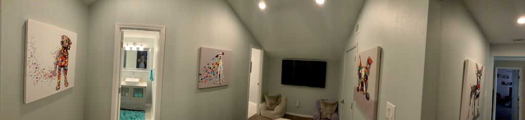 Attic Conversion Kid's Room 