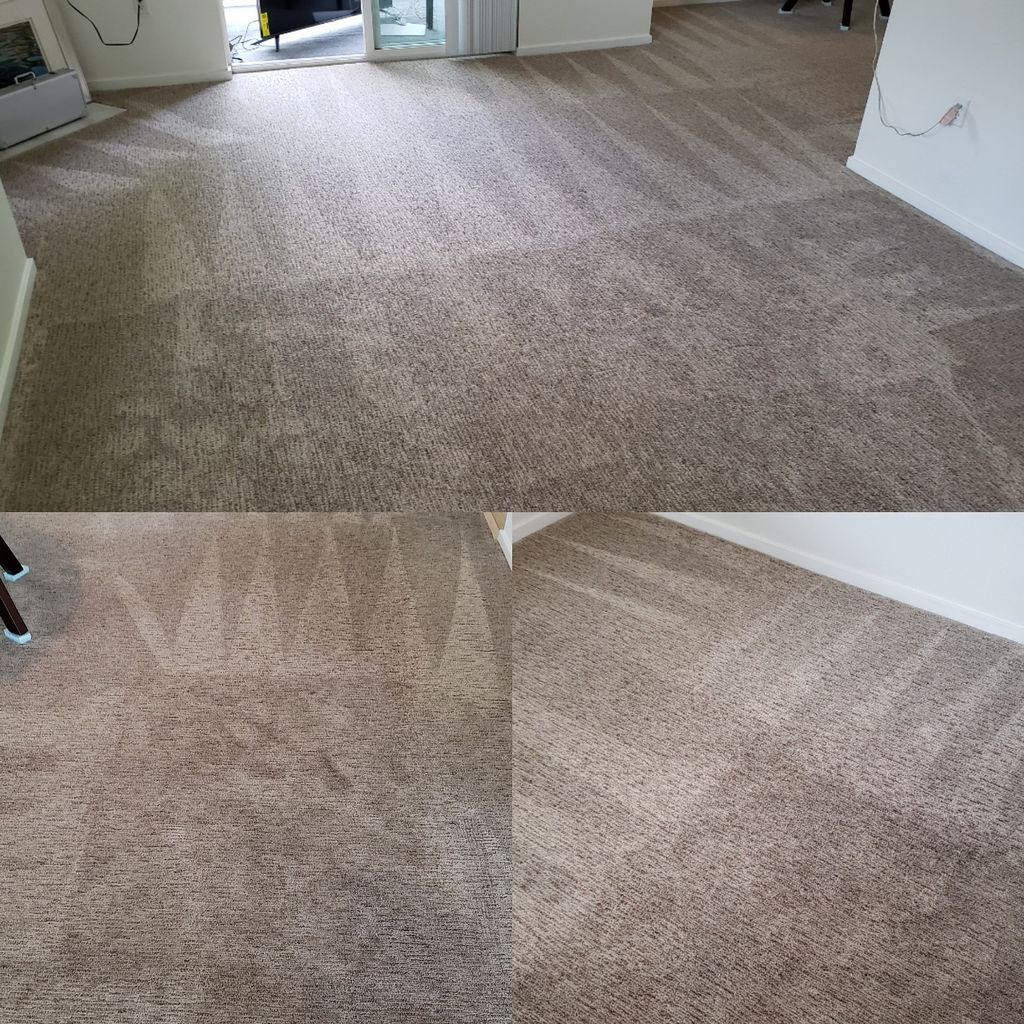 Checkmate Carpet Cleaning