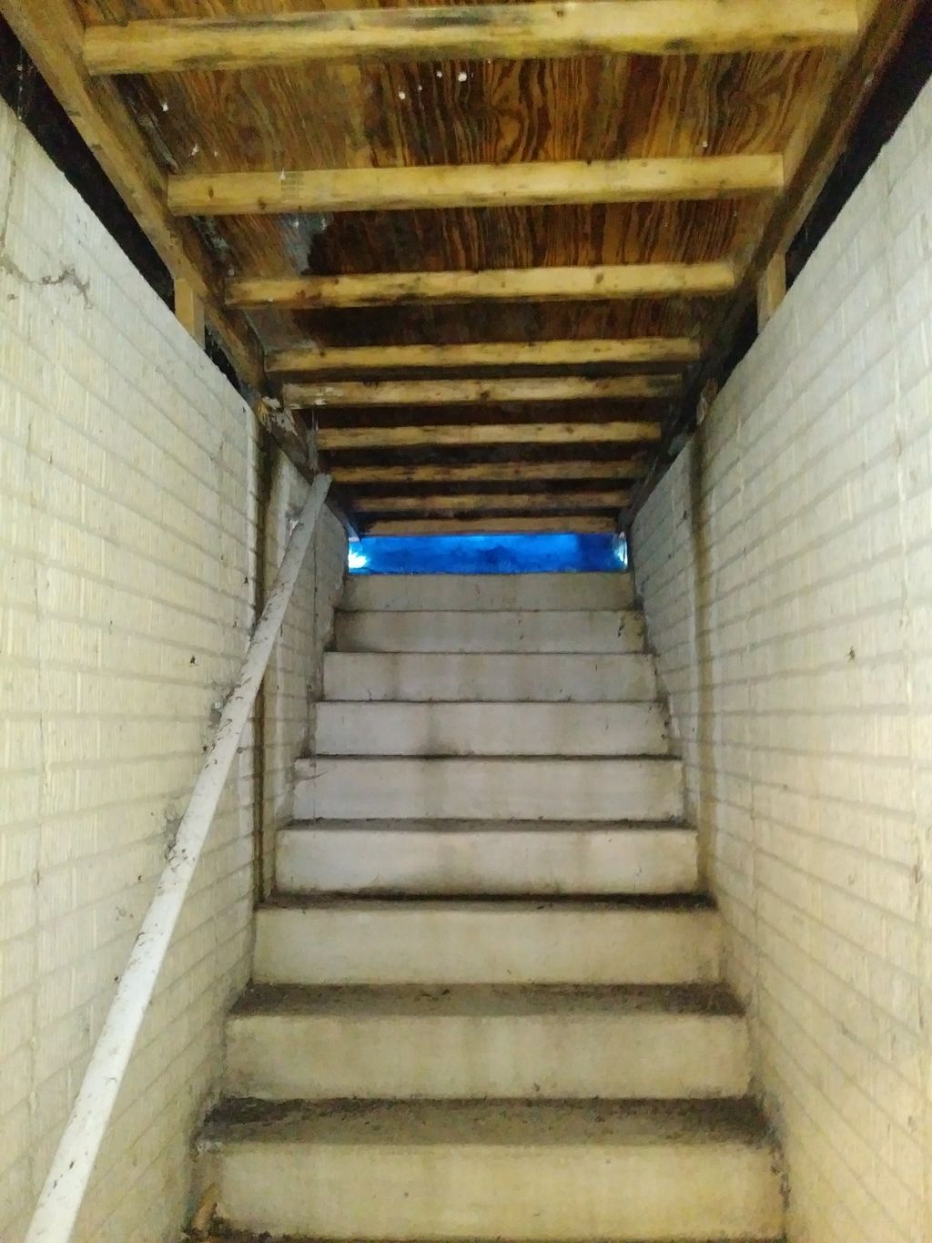 When was the last time you checked your basement w