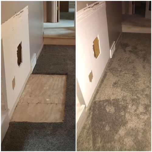 Carpet Repair or Partial Replacement