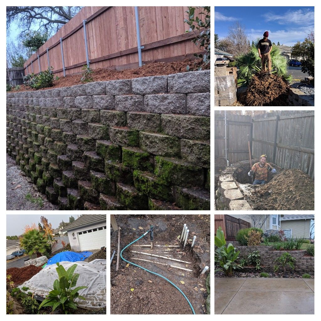 Projects and media