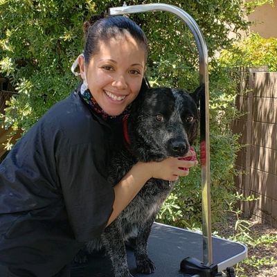 The 10 Best Mobile Dog Groomers In Tucson Az With Free Estimates