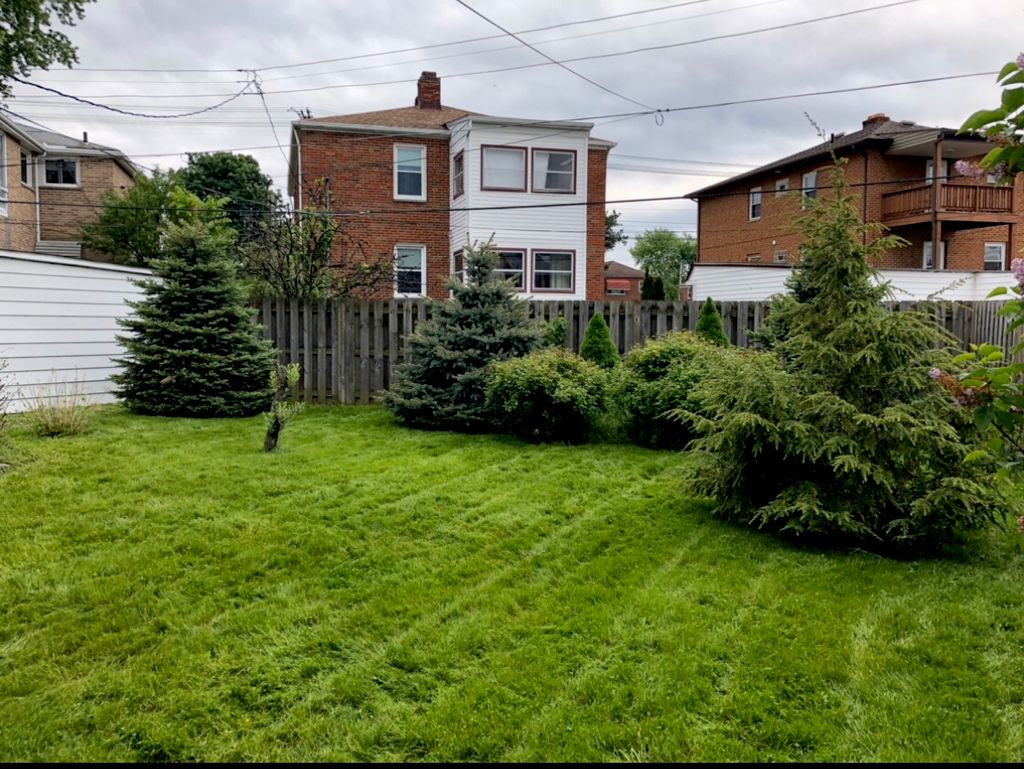 July 2019 Project: Backyard After