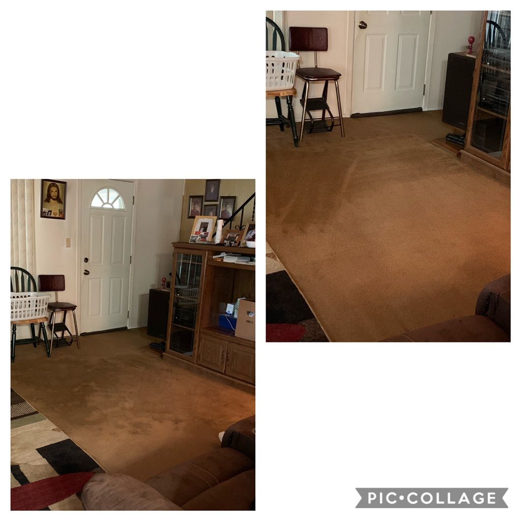 Multi pet home stains removed