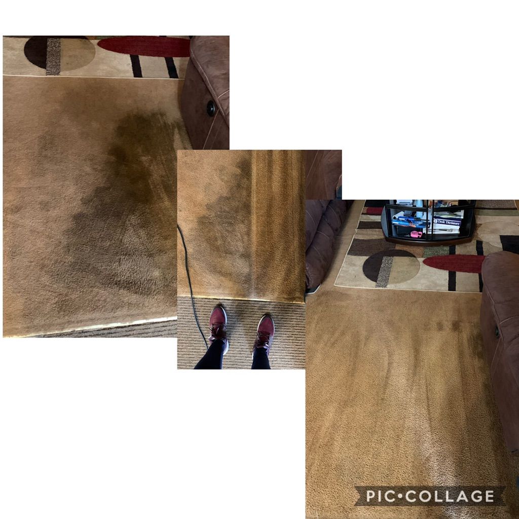 High traffic stains removed! 