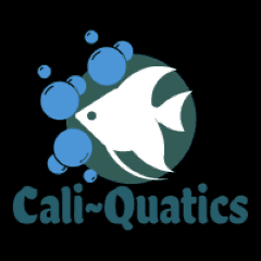 Avatar for CaliQuatics