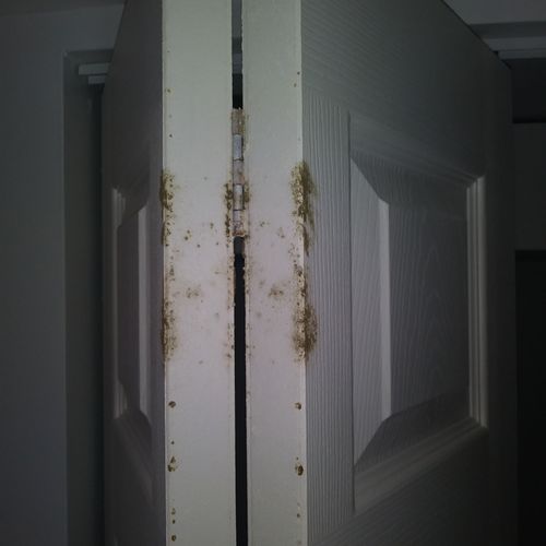 Another nasty surprise for a property manager in P