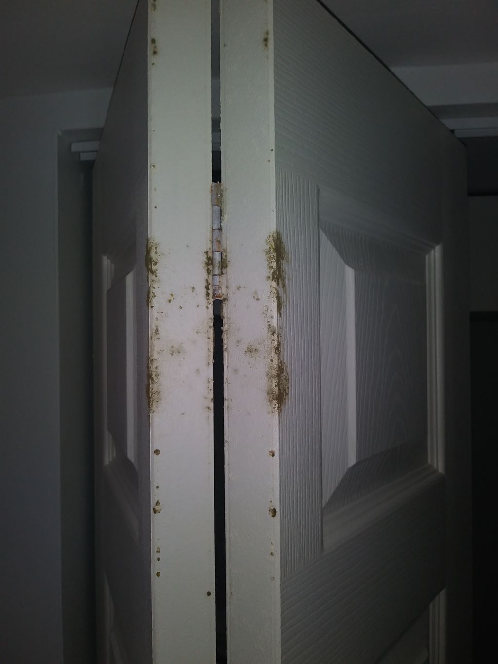 Another nasty surprise for a property manager in P