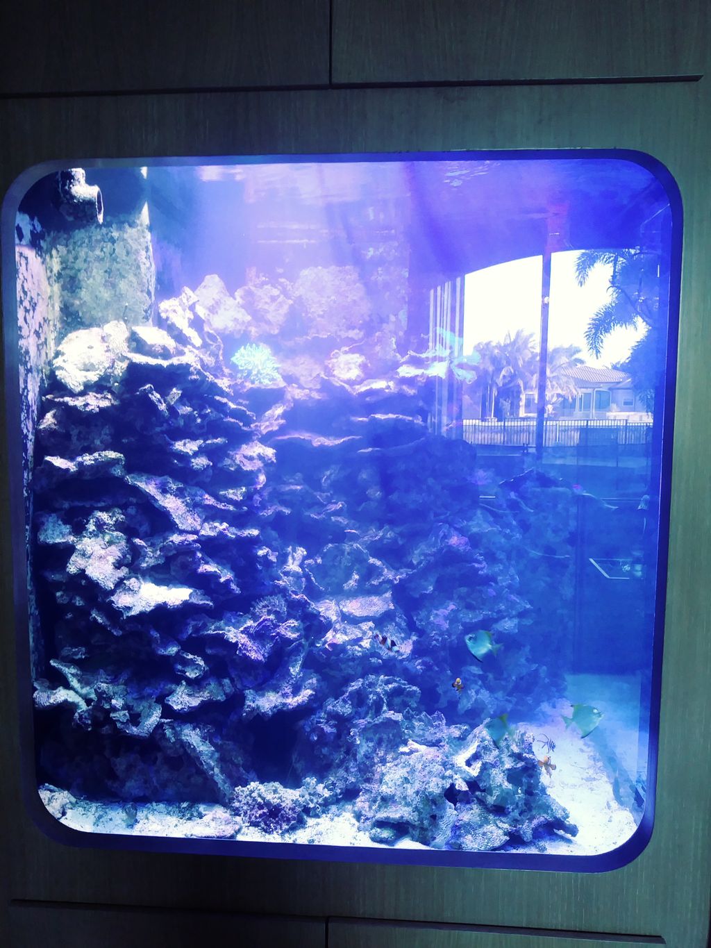 Aquarium Services