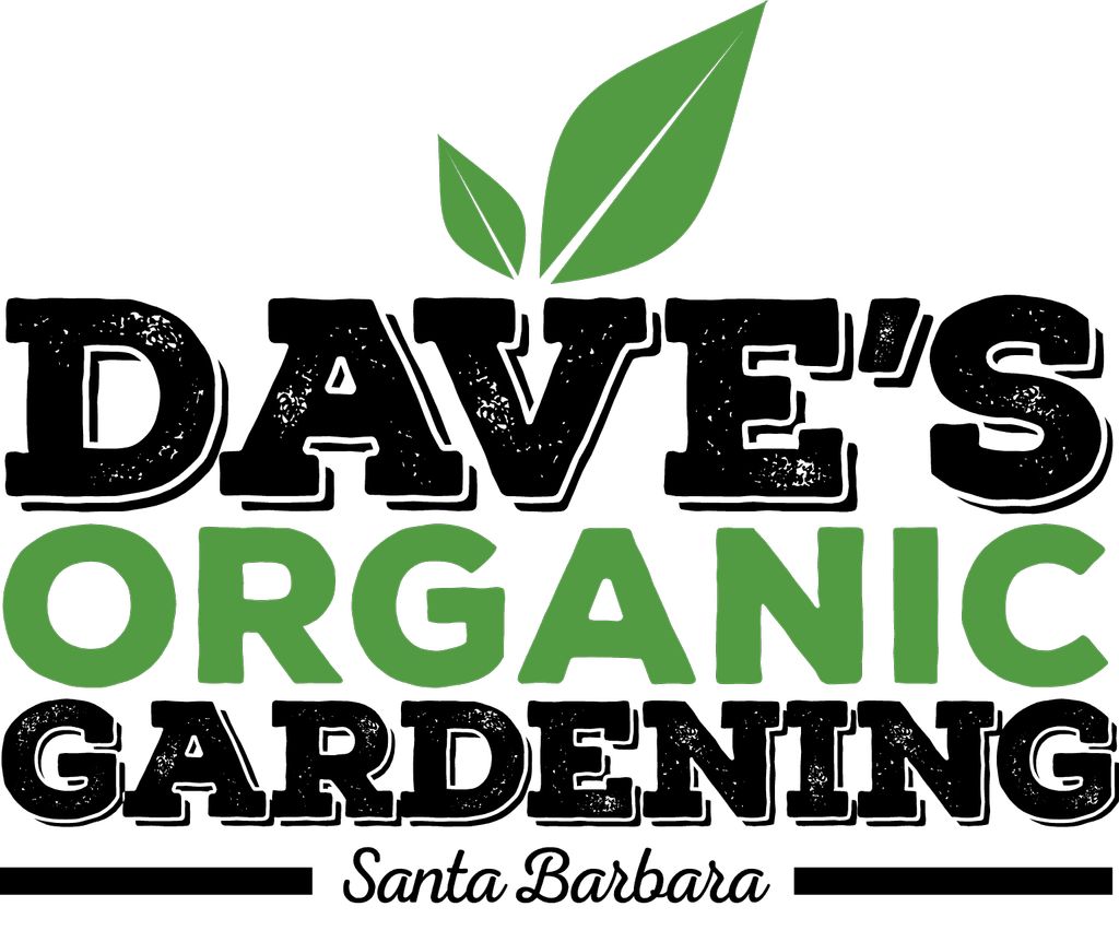 Dave's Organic Gardening