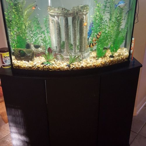 Ryan did a great job on cleaning our aquarium. He 