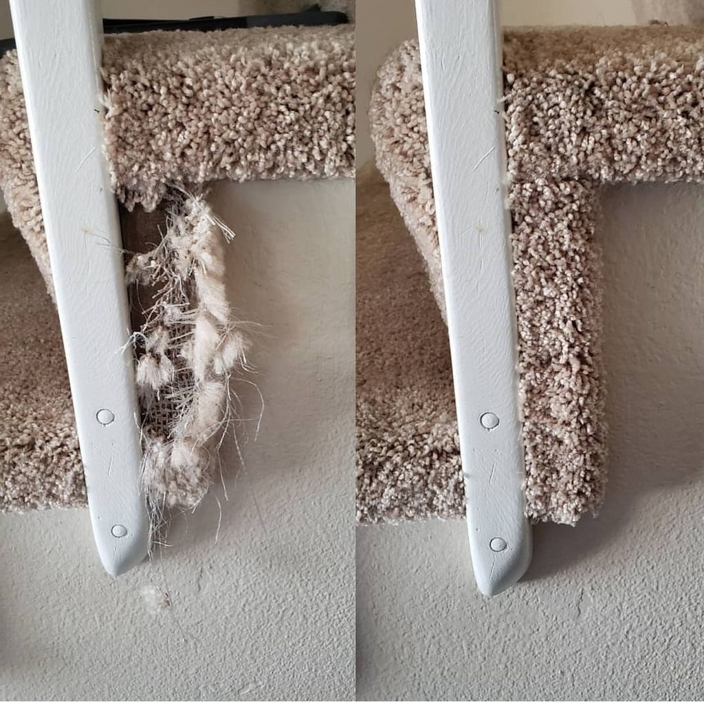 Carpet Repair 