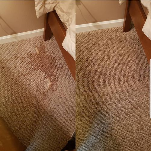 Specialty stain removal 