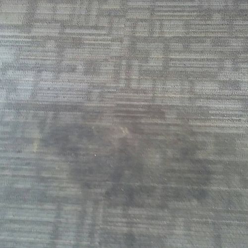Tough carpet stain