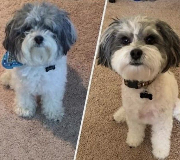 Before and After