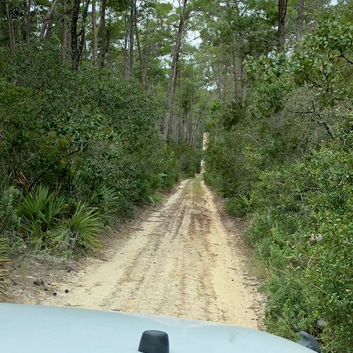 Jeep trail rides