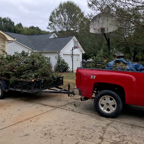 Tree Trimming and Removal