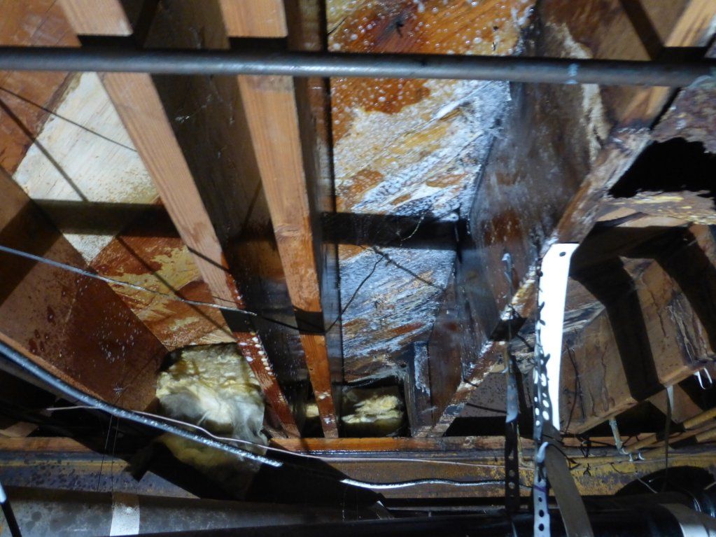 Mold On Wood In Crawl Space