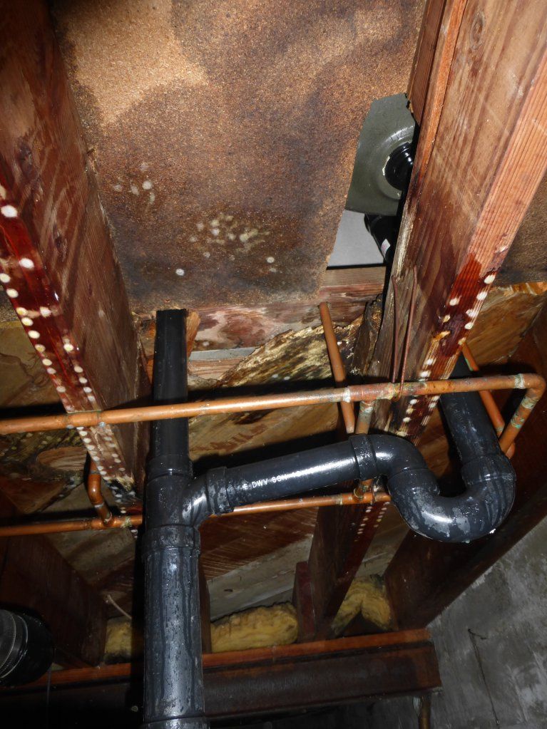 Mold Crawl Space