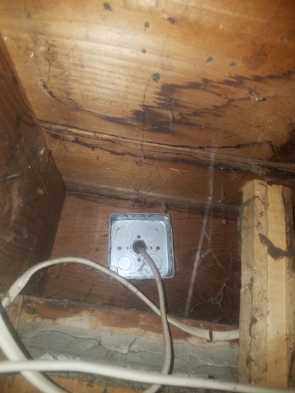 Open eletrical, water damage