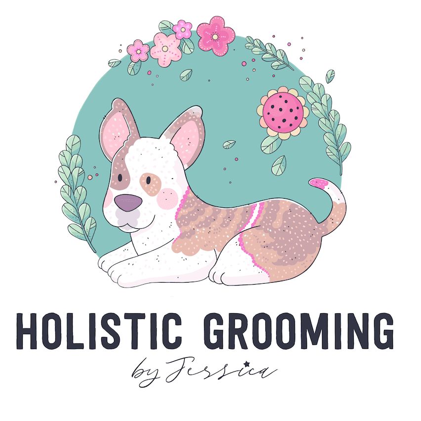 holistic dog grooming near me