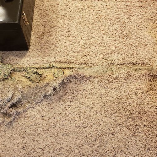 Carpet Repair or Partial Replacement