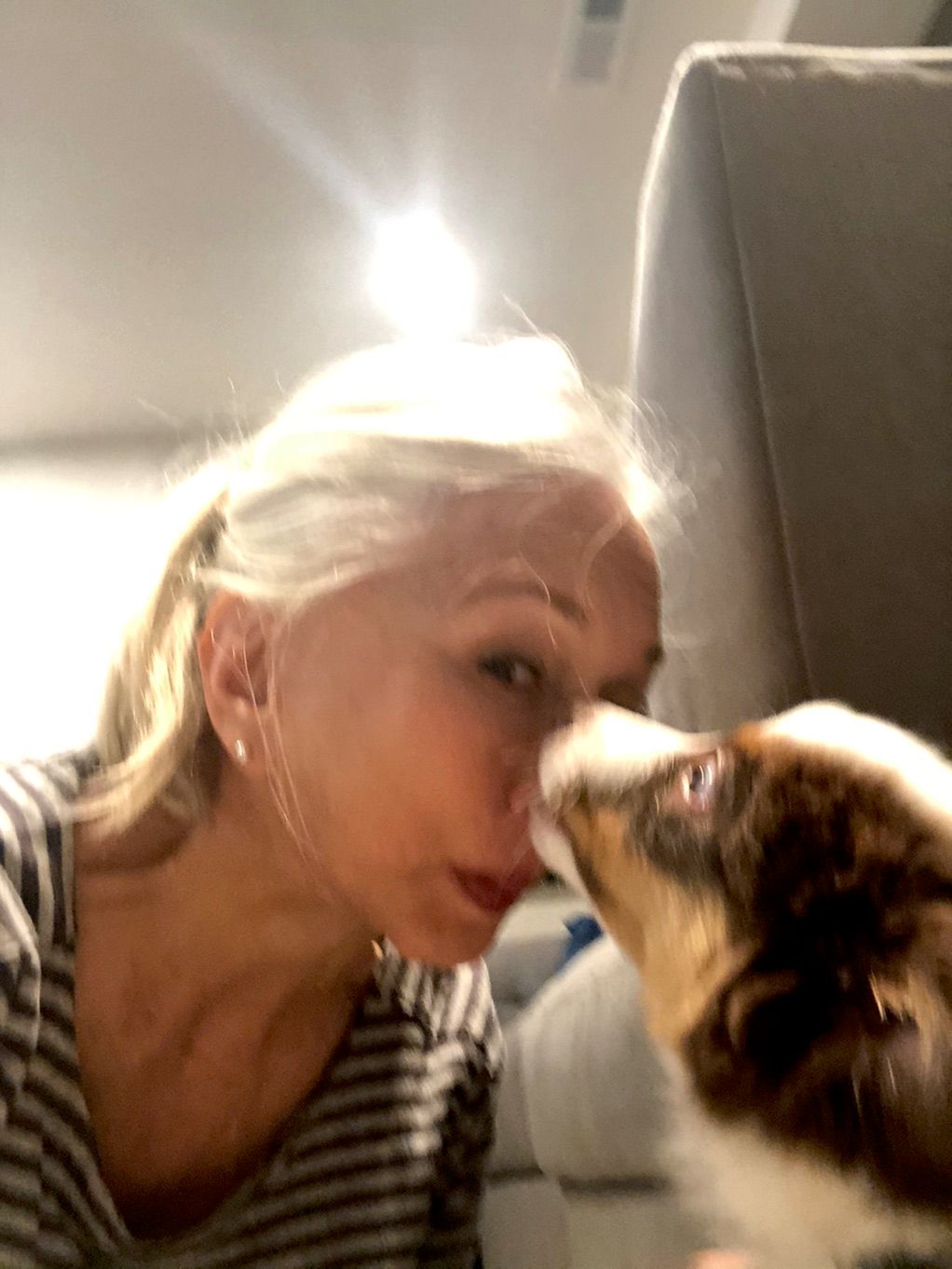 A little loving from a puppy!