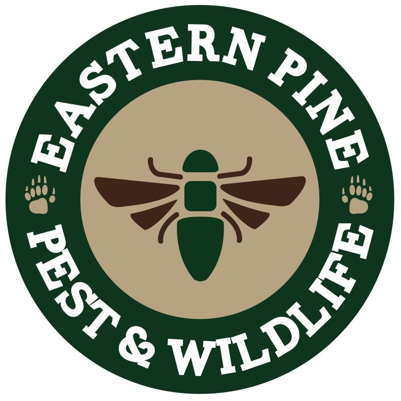 Eastern Pine Inc.