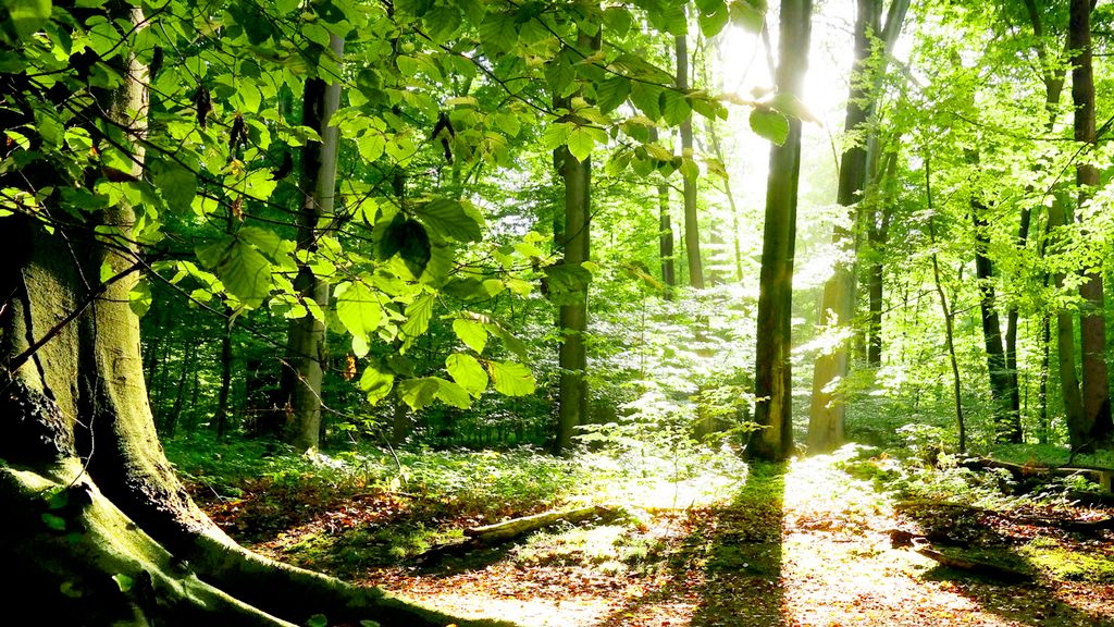 Exodus Environmental Contracting