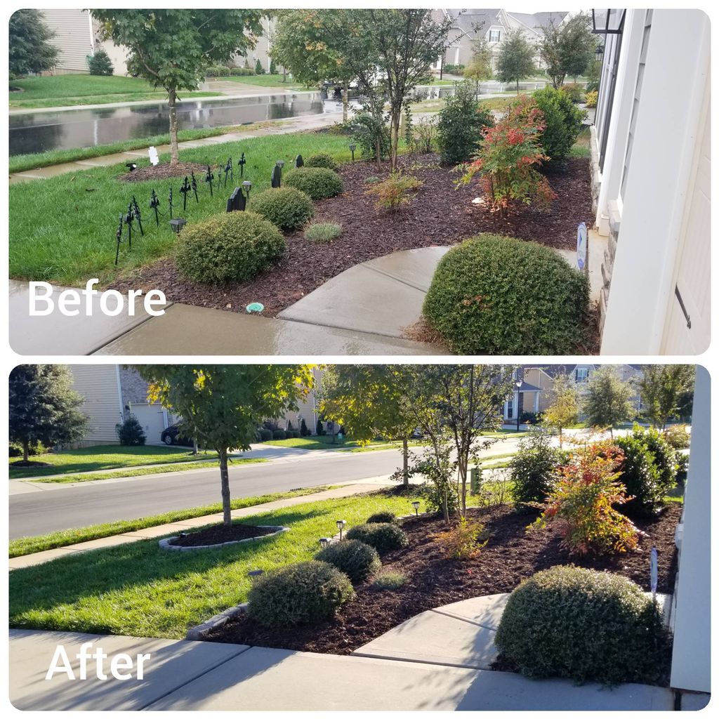Customer photos