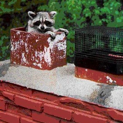 The 10 Best Fireplace Installers In Arnold Mo With Free Estimates