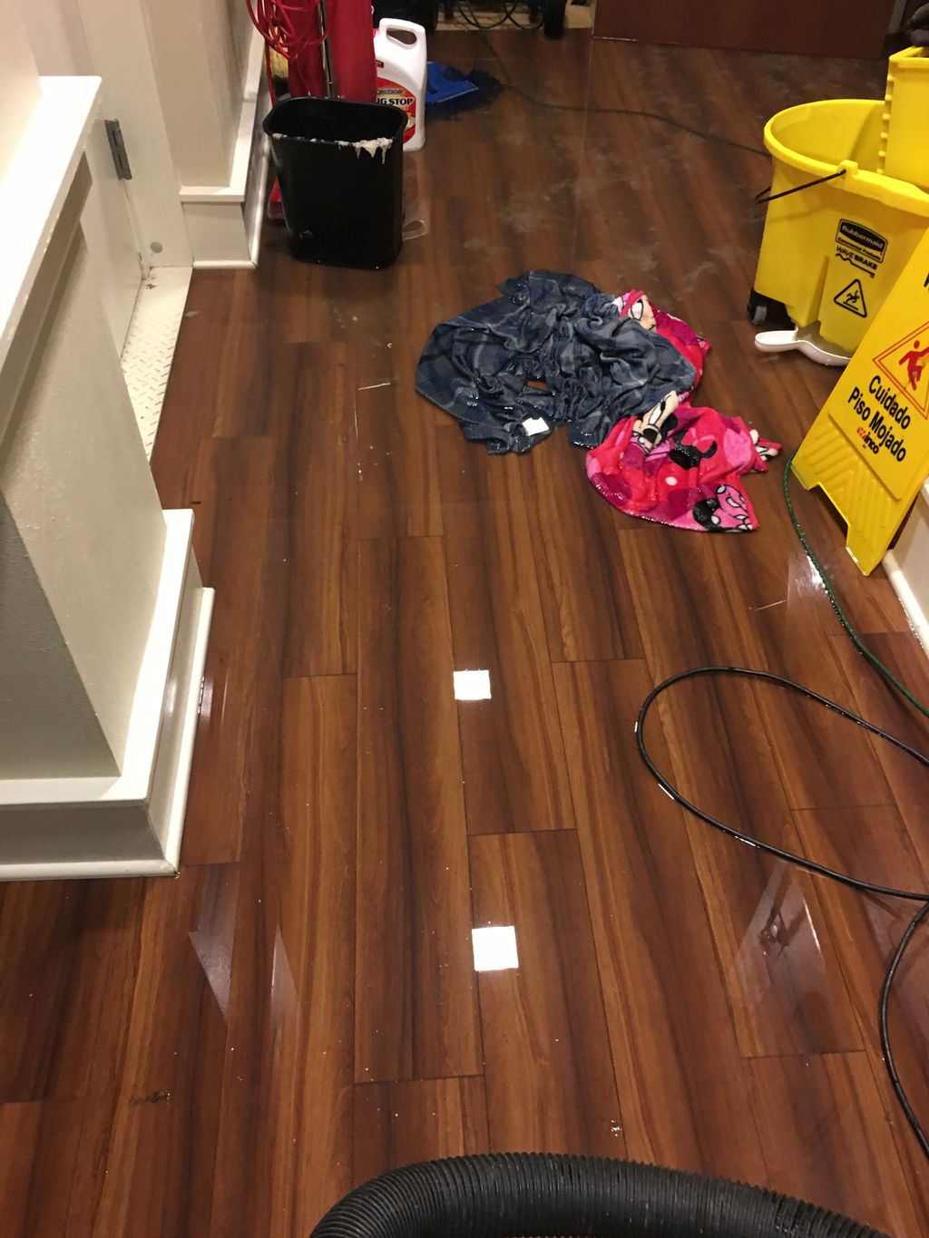 Water Damage Cleanup and Restoration