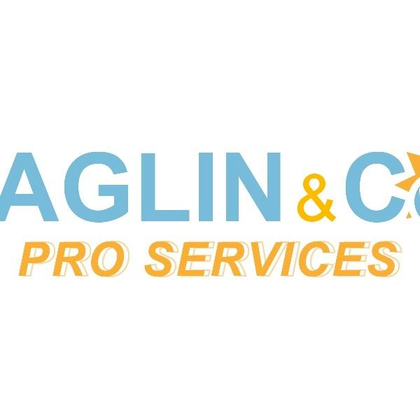 Haglin and CO Pro Services