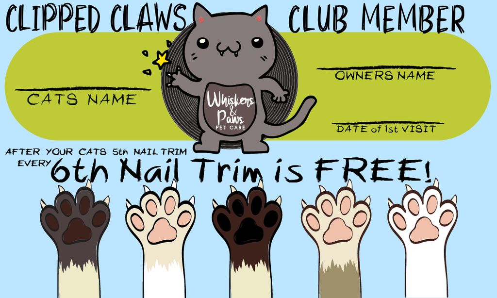 Put your cat on a regular scedule to get their cla