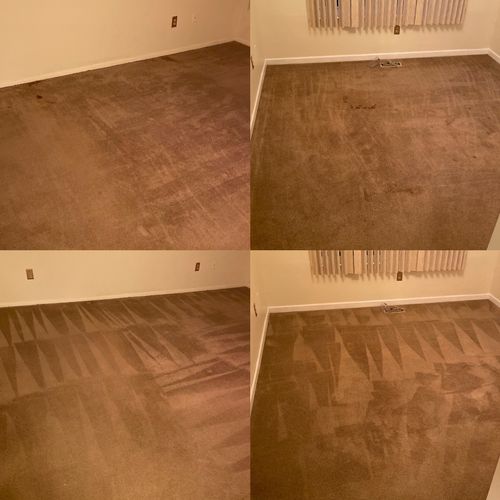 Before & after carpet cleaning 