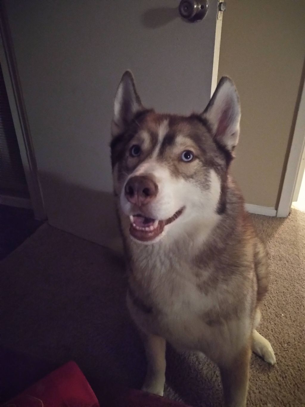 extra help upon request. very friendly and works f