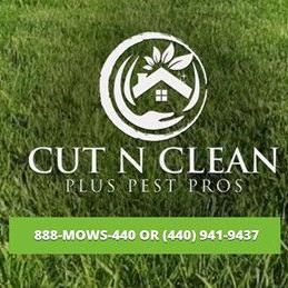 Cut N Clean Plus pest Pros