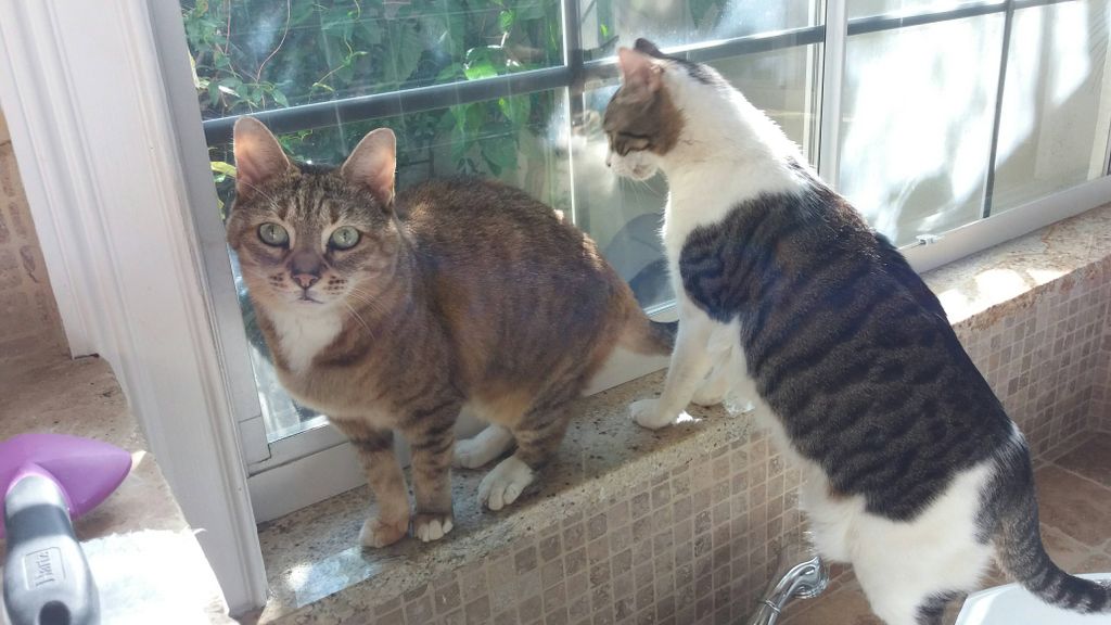 More Melbourne clients 