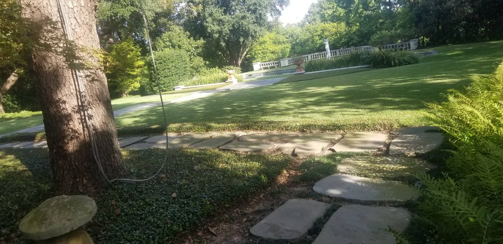 backyard of one of our weekly customer's house.