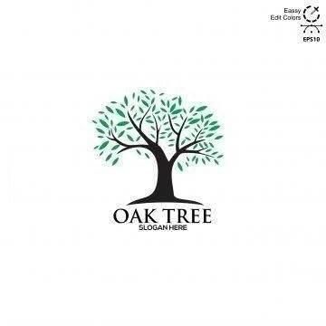 Oaktree Developers Corp.
