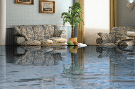 Water Damage Cleanup and Restoration