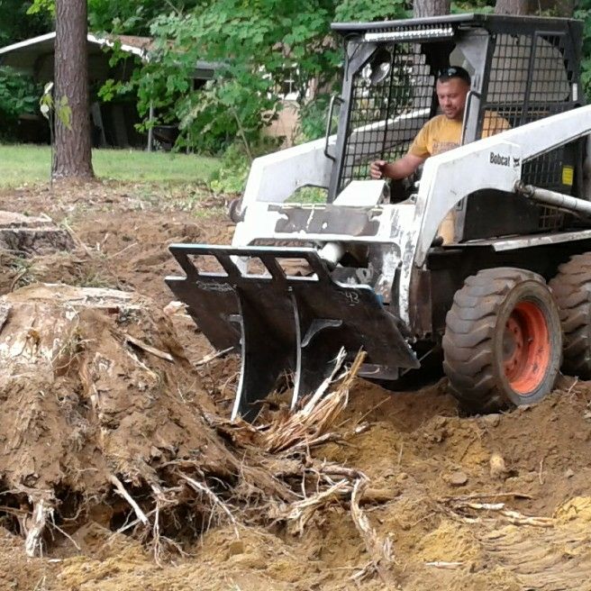 Affordable Stump Removal