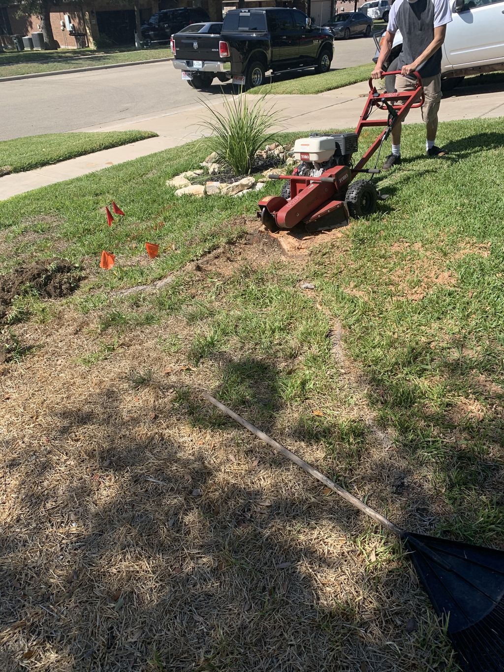 Stump Grind