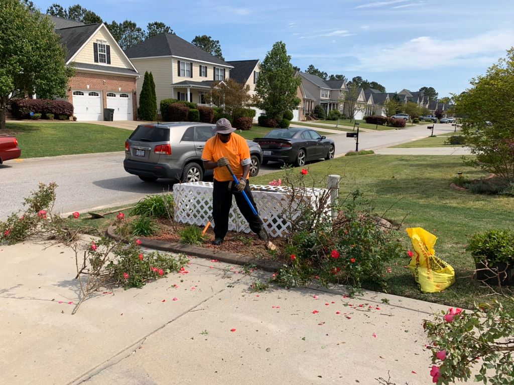 Shrub Removal 