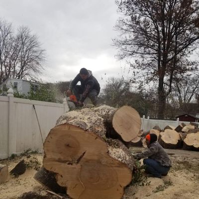 Avatar for GBE guifarro LLC tree service