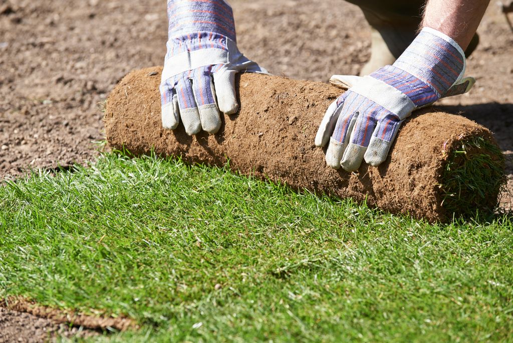 Sod installation team. 